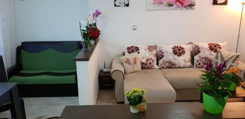 Happy Flowers Apartament
