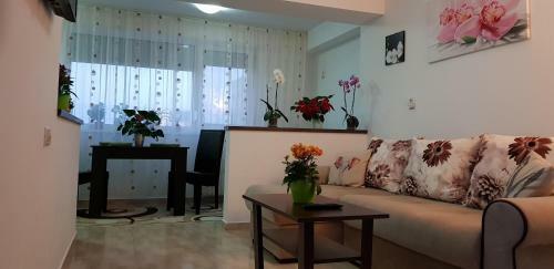 Happy Flowers Apartament