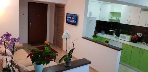 Happy Flowers Apartament