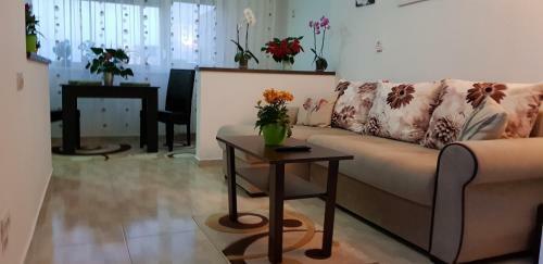 Happy Flowers Apartament