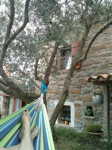 Istrian Stone House