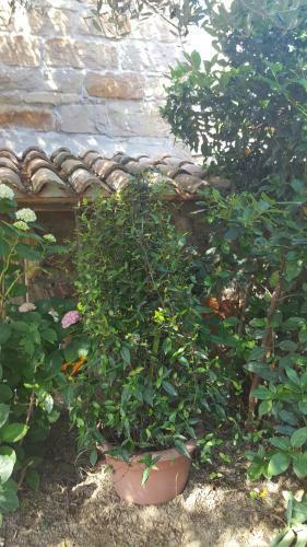 Istrian Stone House