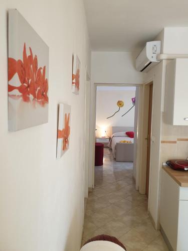 Apartamento Ku?a Ru?a