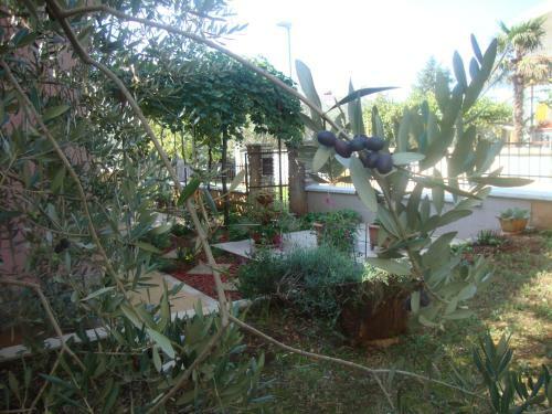 Comfortable Apartments In Peroj Near The Sea