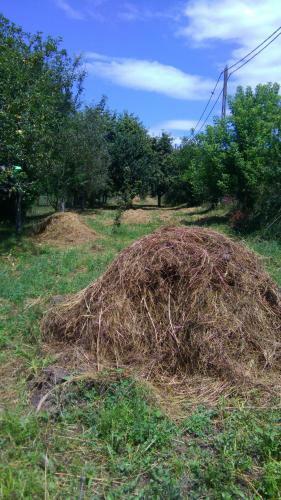 Hostal Cazare La Espa�ola