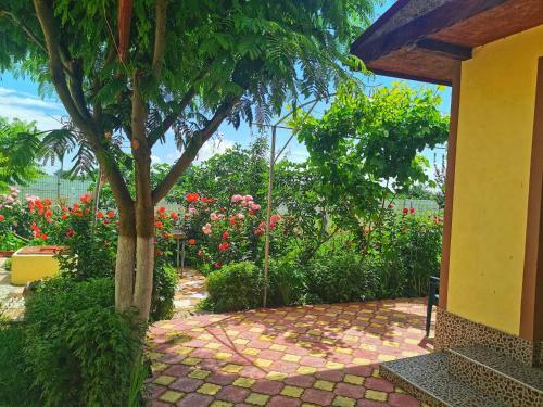 Hostal Casa M?d?lina