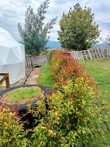 Domo Roca Glamping Suesca