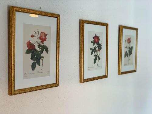 Apartman Betty