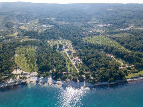 Villa Roga?