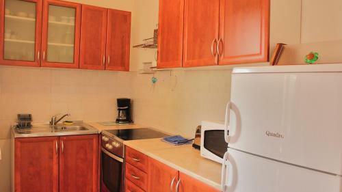Apartment Vidak