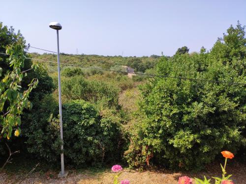 Apartamento Anja