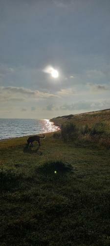 Beachloft Zeeland Nr.2