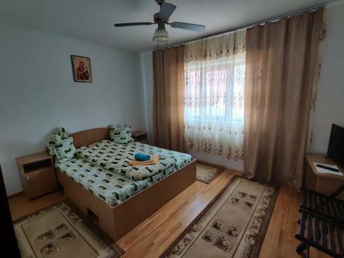Hostal Cabana Andreea