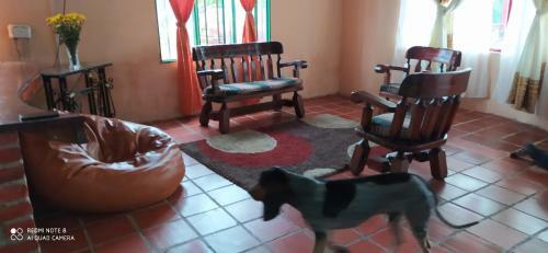 Hostal Calibio