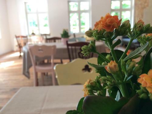 Bed & Breakfast Widok�wka