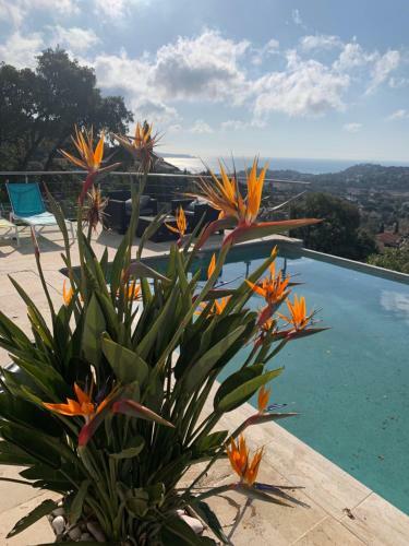 Villa Tremi�re