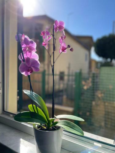 Apartamento Perfect Location