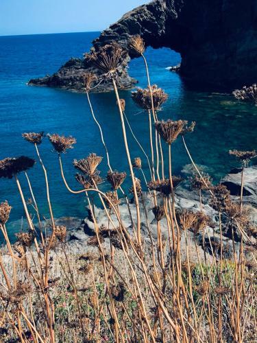 Fishing Academy & Cousine Pantelleria