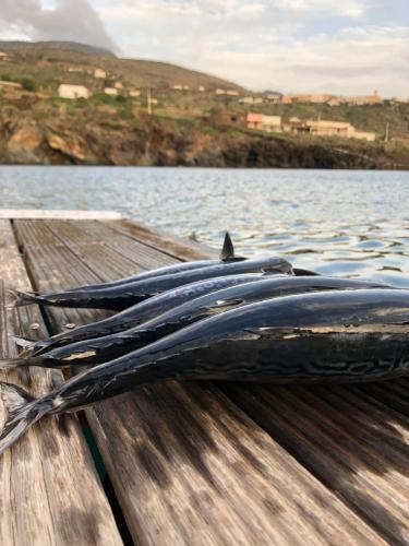 Fishing Academy & Cousine Pantelleria