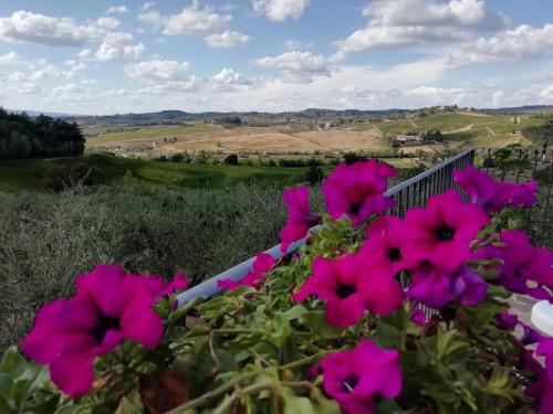 Apartamento Vacanze In Toscana Con Piscina