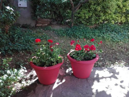 Apartamento Country