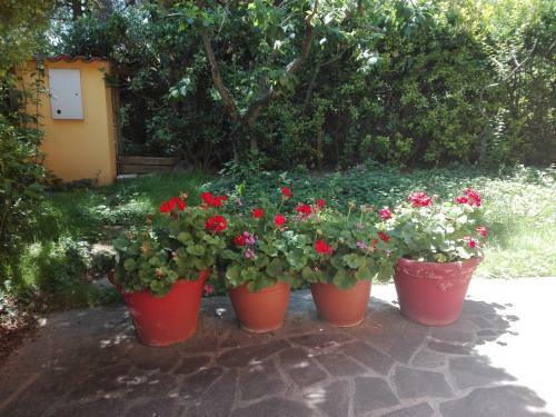 Apartamento Country
