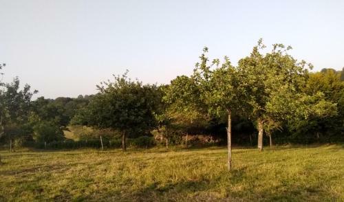 A L'aubri�re Des Anges
