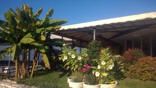 Hotel Albergo Motta