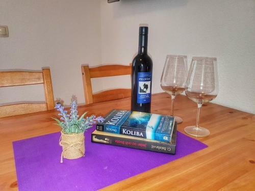 Apartmani Steli