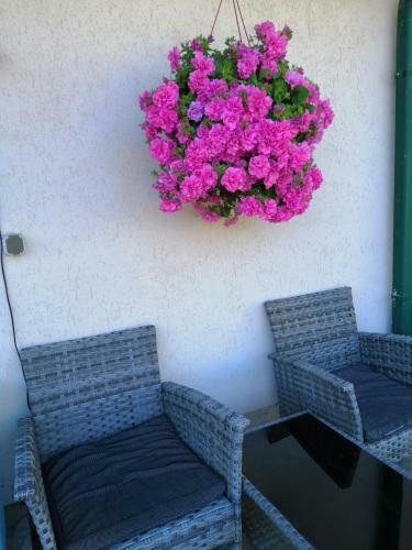 Hostal Searooms Ragaciems