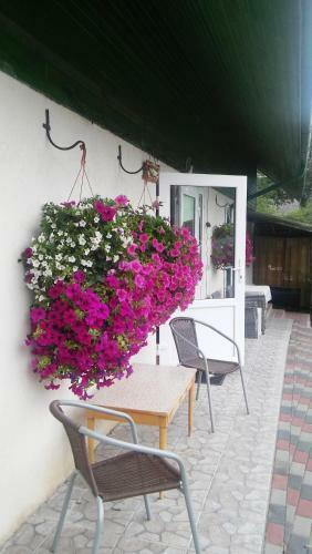 Hostal Searooms Ragaciems