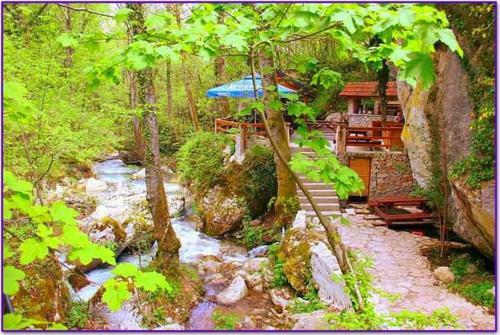 Apartman Kameno Vrelo