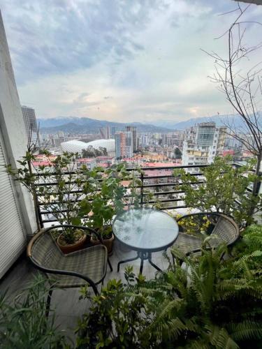 Apartamento �gray�