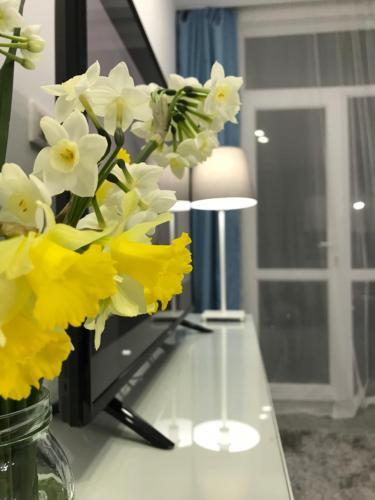 Apartamento �gray�