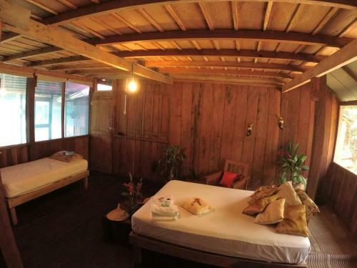 Albergue Amazon Exploring Expedition - Eretzen T� Lodge