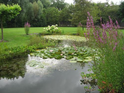 B&B Oostzomerland