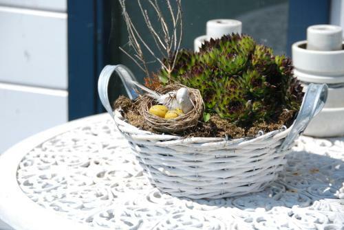 Apartamento Studio Polderpoort