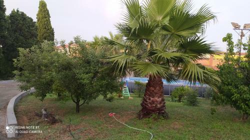 Apartamento Kicaangi