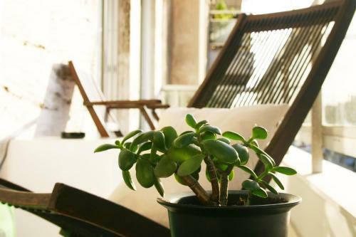 Apartment Poseidon In Piraeus