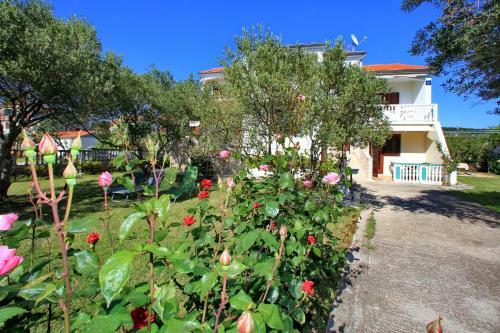Apartments Vala