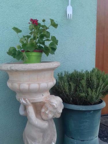 Bed & Breakfast Casa Allorello