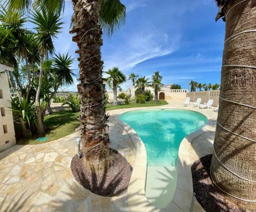Tropical Palm Villa