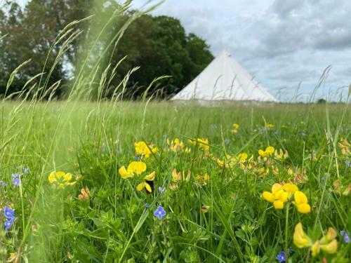 Buttercup Bell Tent In The Broads National Park