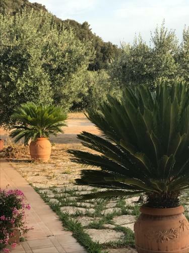 Bed & Breakfast Stella D'argento