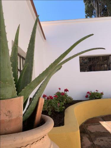 Encantador Apartamento-c�ntrico-con Amplio Jard�n