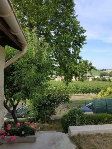 Chambre Priv�e