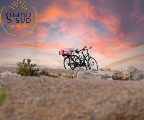 Apartamento Le Lagon Bleu