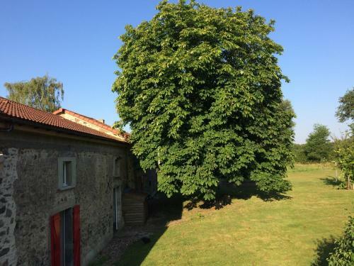 Bed & Breakfast Le Dragon Dans Les Buis