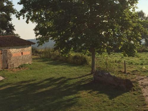Bed & Breakfast Le Dragon Dans Les Buis