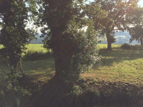 Bed & Breakfast Le Dragon Dans Les Buis